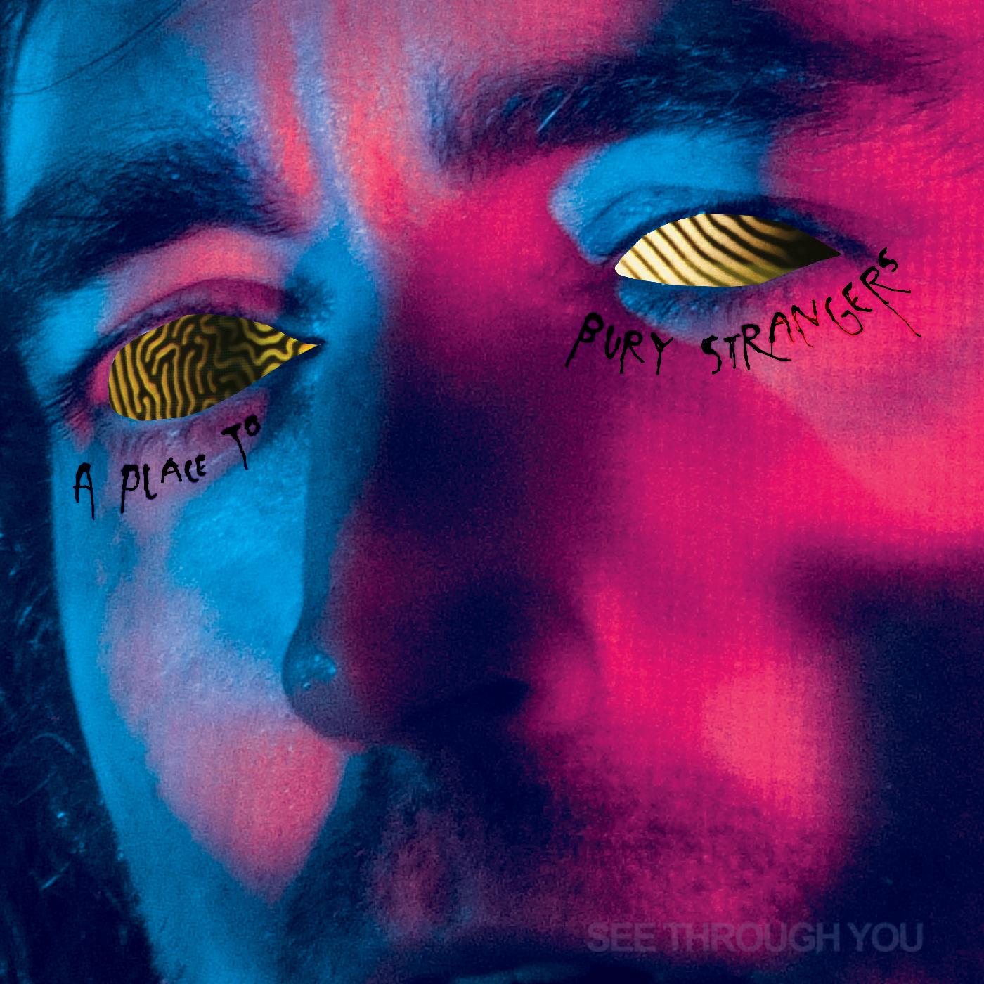 A Place To Bury Strangers See Through You | Vinyl