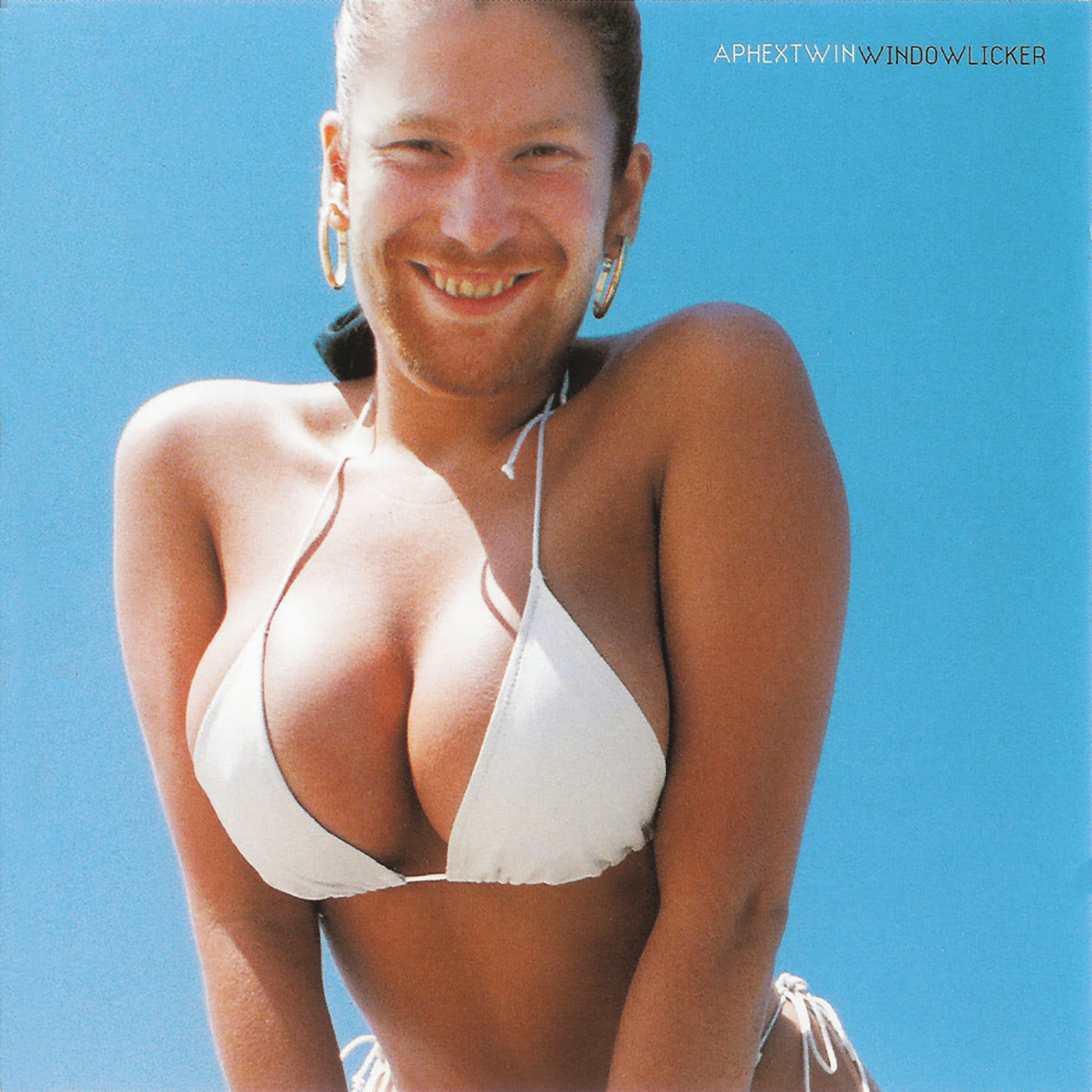 Aphex Twin Windowlicker | Vinyl