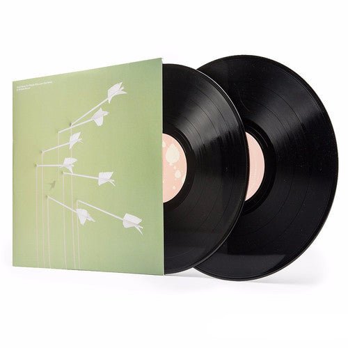 Modest Mouse - Good News for People Who Love Bad News (180g Vinyl) - HIFI Bodega