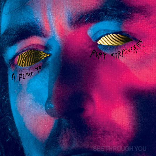 A Place To Bury Strangers See Through You | Vinyl