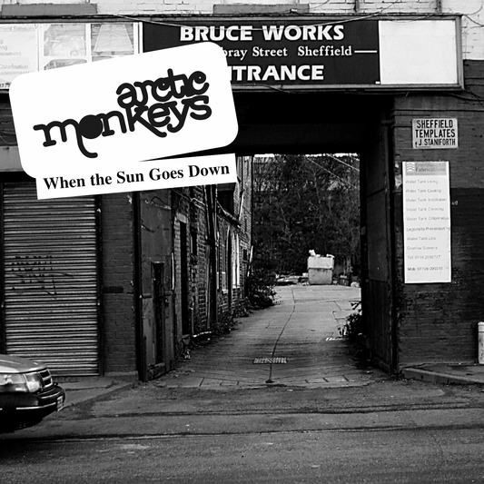 Arctic Monkeys When The Sun Goes Down | Vinyl