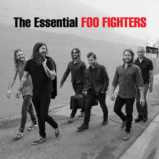 The Essential Foo Fighters (140g Vinyl)