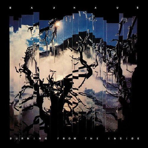 Bauhaus - Burning From The Inside - HIFI Bodega