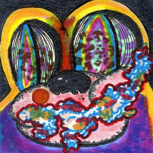 Cage the Elephant - Thank You, Happy Birthday - HIFI Bodega