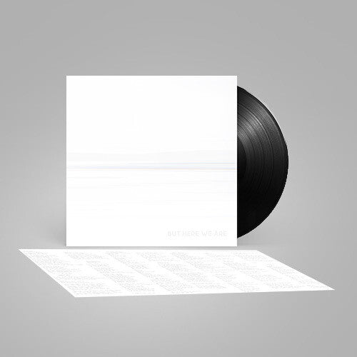 Foo Fighters - But Here We Are - HIFI Bodega