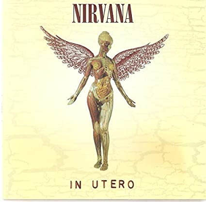 Nirvana - In Utero (180g Vinyl) - HIFI Bodega