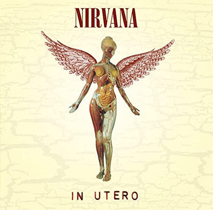 Nirvana - In Utero (180g Vinyl) - HIFI Bodega