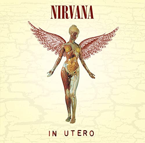 Nirvana - In Utero (180g Vinyl) - HIFI Bodega