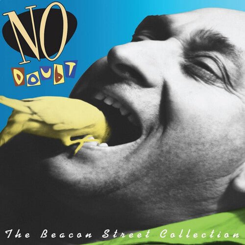 No Doubt - The Beacon Street Collection (180 Gram Vinyl) - HIFI Bodega