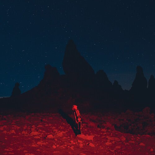 Phoebe Bridgers - Punisher - HIFI Bodega