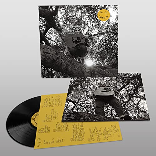 Ty Segall - Hello, Hi - HIFI Bodega