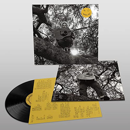 Ty Segall - Hello, Hi - HIFI Bodega