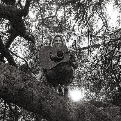 Ty Segall - Hello, Hi - HIFI Bodega