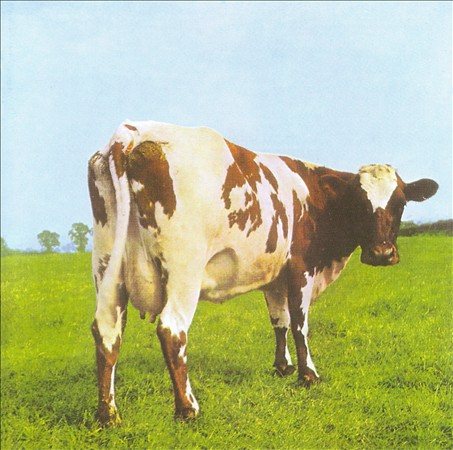 Atom Heart Mother (180g Vinyl)