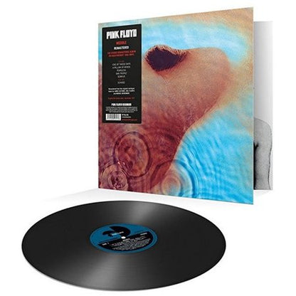 Meddle (180 Gram Vinyl)