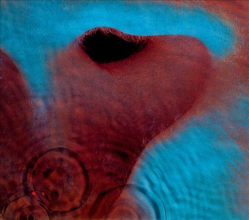 Meddle (180 Gram Vinyl)