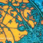 Is This It (Limited Edition)