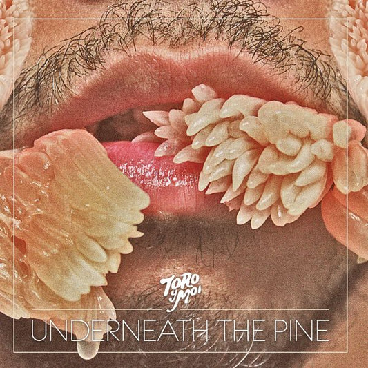 Toro Y Moi Underneath the Pine | Vinyl
