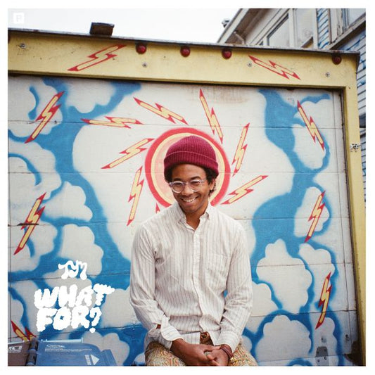 Toro Y Moi What For? (Digital Download Card) | Vinyl